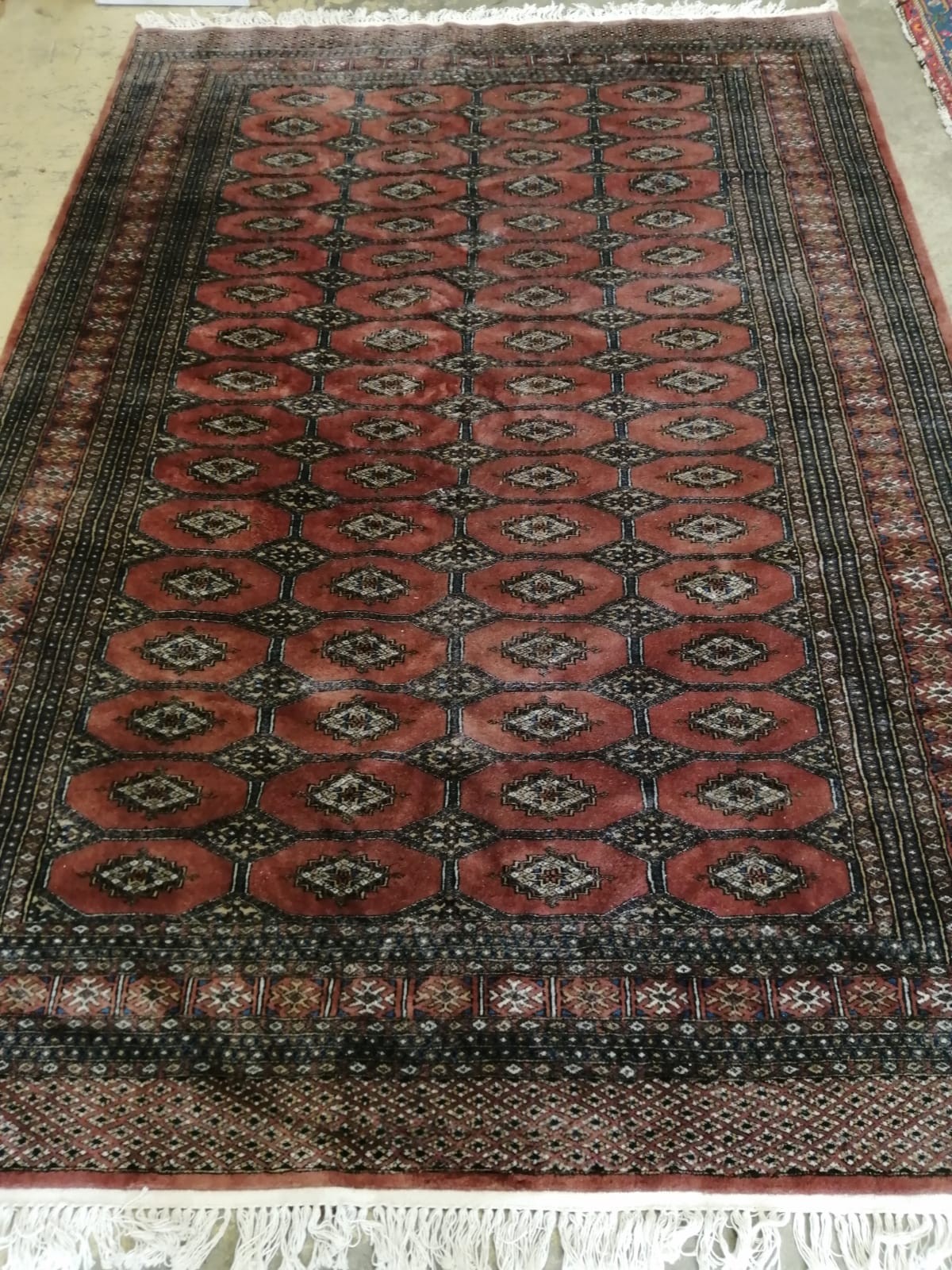 A Bokhara red ground rug, 264 x 184cm